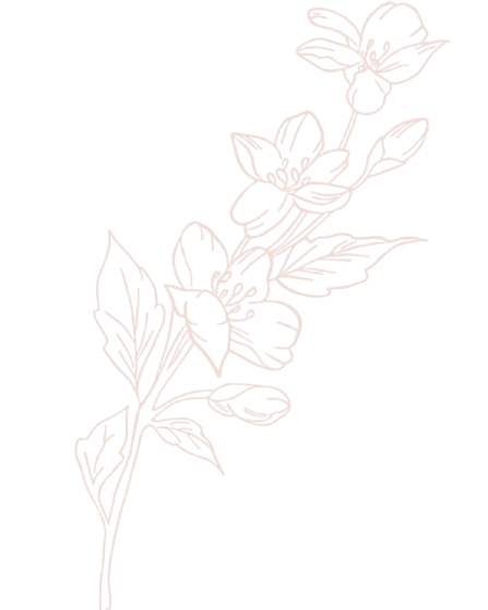 Projekt_bez_nazwy-removebg-preview