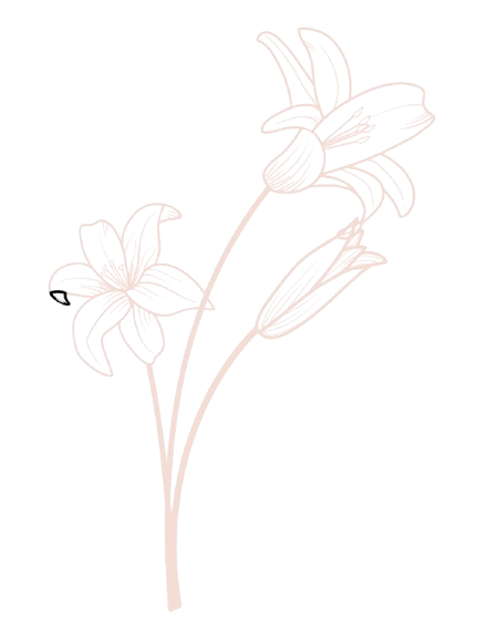 Projekt_bez_nazwy__19_-removebg-preview